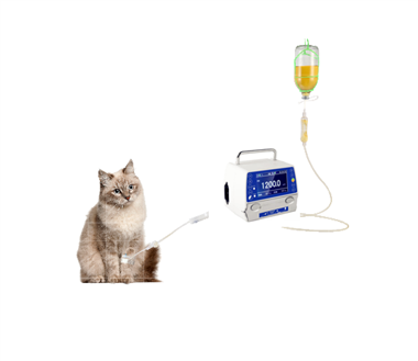 Importance of Using Infusion Pump Veterinary For Small Animals